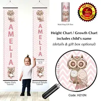 Height Charts - Owl Pastel Pink Chevron Pattern