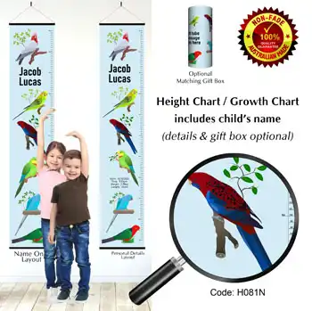 Height Charts - Parrots Birds